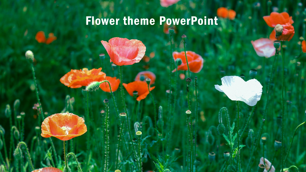 flower theme powerpoint